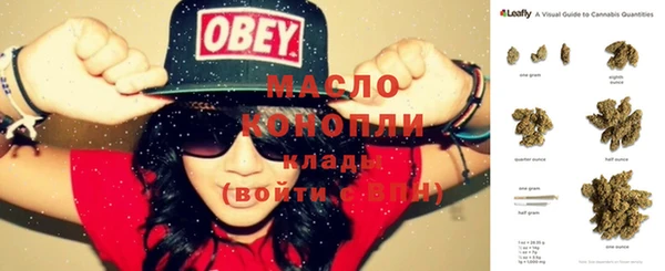 молекула духа Чердынь