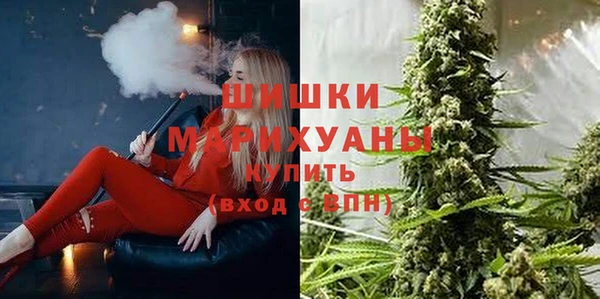 молекула духа Чердынь